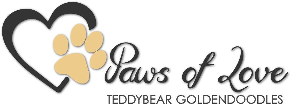 Paws of Love Teddybear Goldendoodles Logo